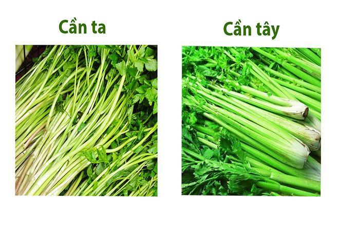 Cần tay và cần ta